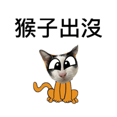 猴子也要叫