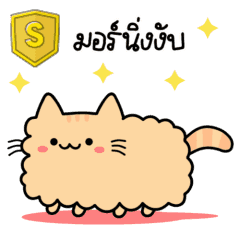 Tempura Cat So Cute