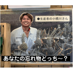 hikari_20221018172112