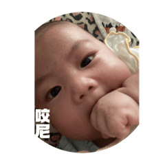 小紀寶