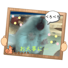 ARISA_20221018210251