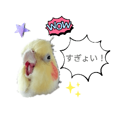 megumi_20221018184839