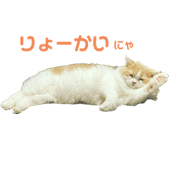 otonosamadanya