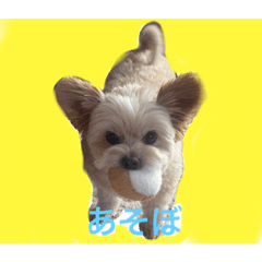 smile_20221018215251