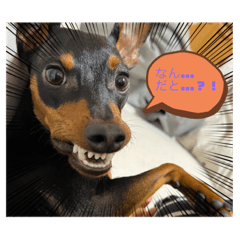 peco_20221018215441