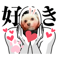 peco_20221018212718