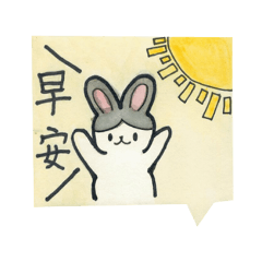 晴的可愛兔子