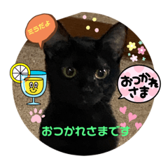 Oribia_20221019144724