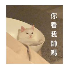 墨菲___