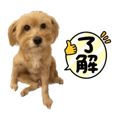 李乖乖