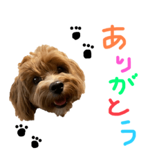 aoi_20221020020332