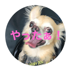 chisa_20221019201353