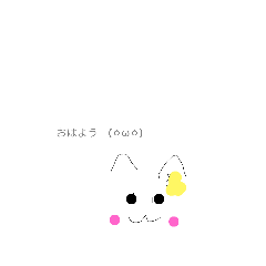 dolphin_20221019174946