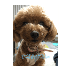 suzu_20221019205126