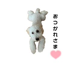 hikari_20221019213744