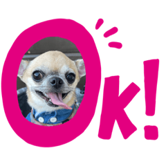 shiho_20221019230105