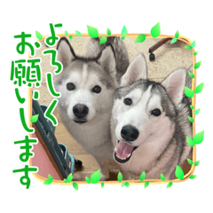tonton_20221019214708