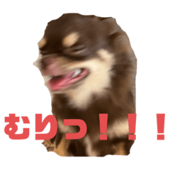 peco_20221019220640