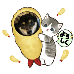 kchan_20221019224430