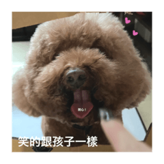 何小Mi