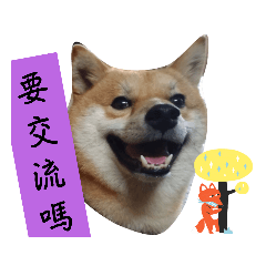 ching_20221019205150 – LINE stickers | LINE STORE
