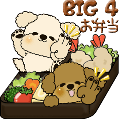 【Big】プードル 4『お弁当大好き』