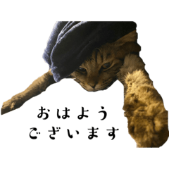 seira_20221020125109