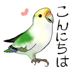 love bird everyday sticker