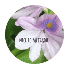 mayuyu_20221019225247