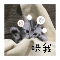 波妞表情包❤️-01