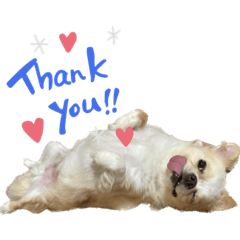 SHIHO_20221020181213