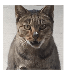 Suzuki Taro_20221020181922