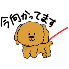 Inu-nasu 20221020202148 – Line Stickers 