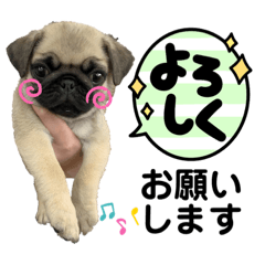 yuka_20221020203406