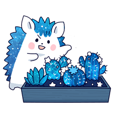 FUFU &  Star cactus