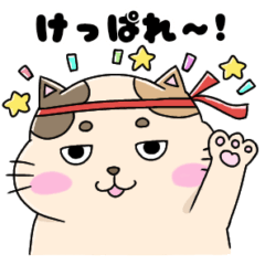 jitome kitty cat Hokkaido dialect