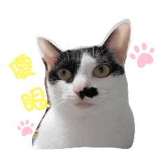 黃屋伲