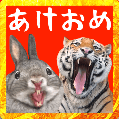 Tiger and the rabbit