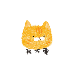 Bad mood Orange cat