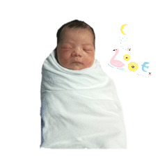 Alice_20221020225213