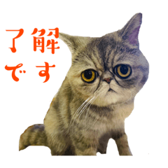 shin_20221021154602