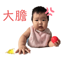 集集可為
