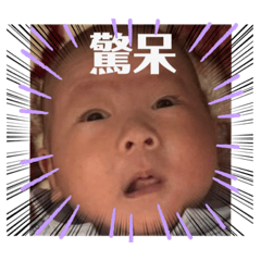 蛋蛋淡淡淡淡淡淡淡蛋蛋