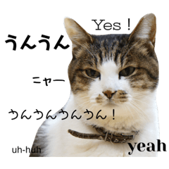 Hana_20221021195122