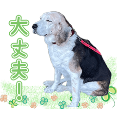 KURI-STICKER 2