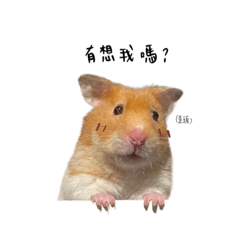 Egg小堡