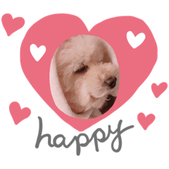 daily life of purin