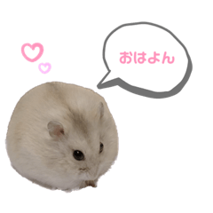 kinaco_20221022001134