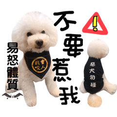 我是米糕Migo
