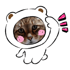 MISA_20221021200939